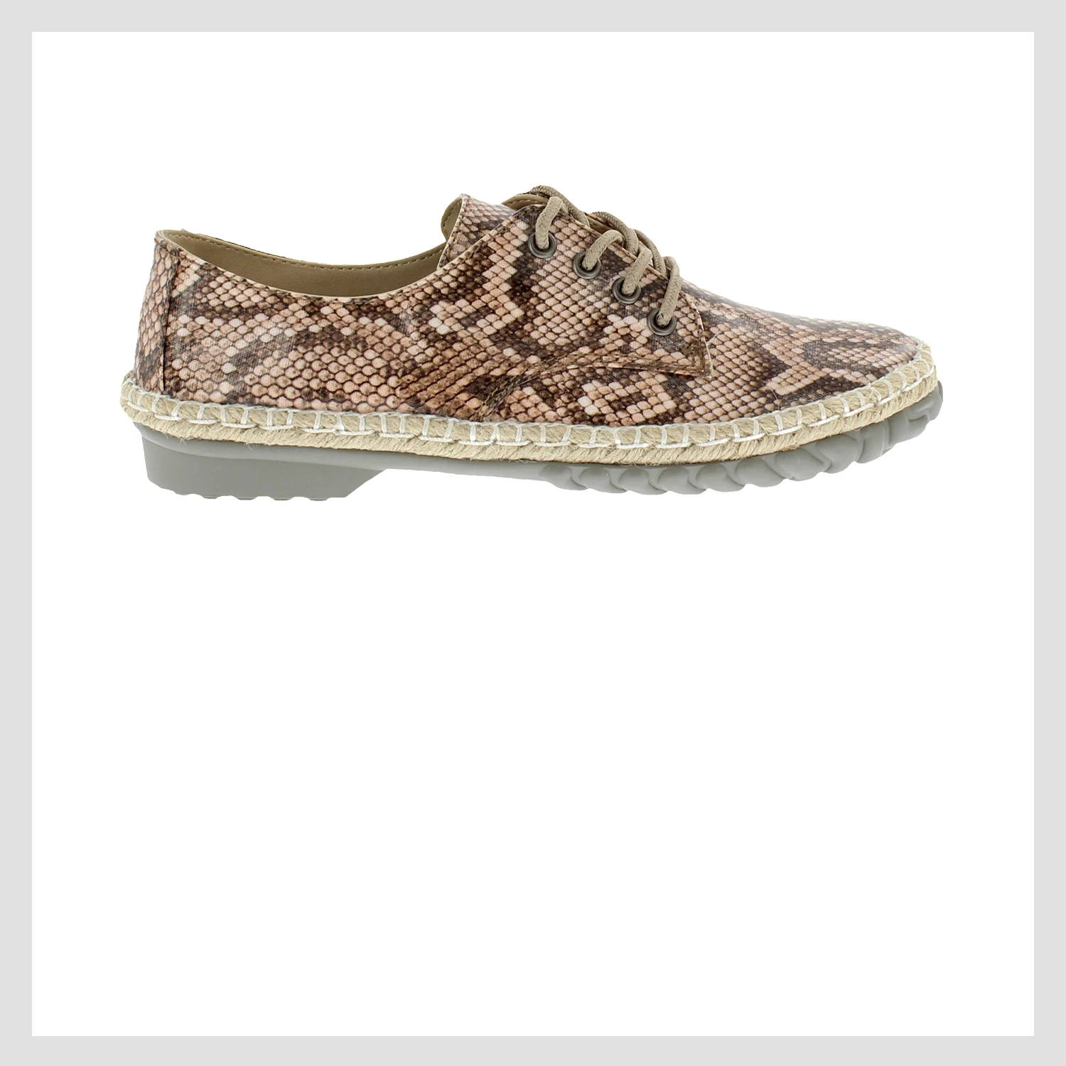 Lilly, Brown Gator