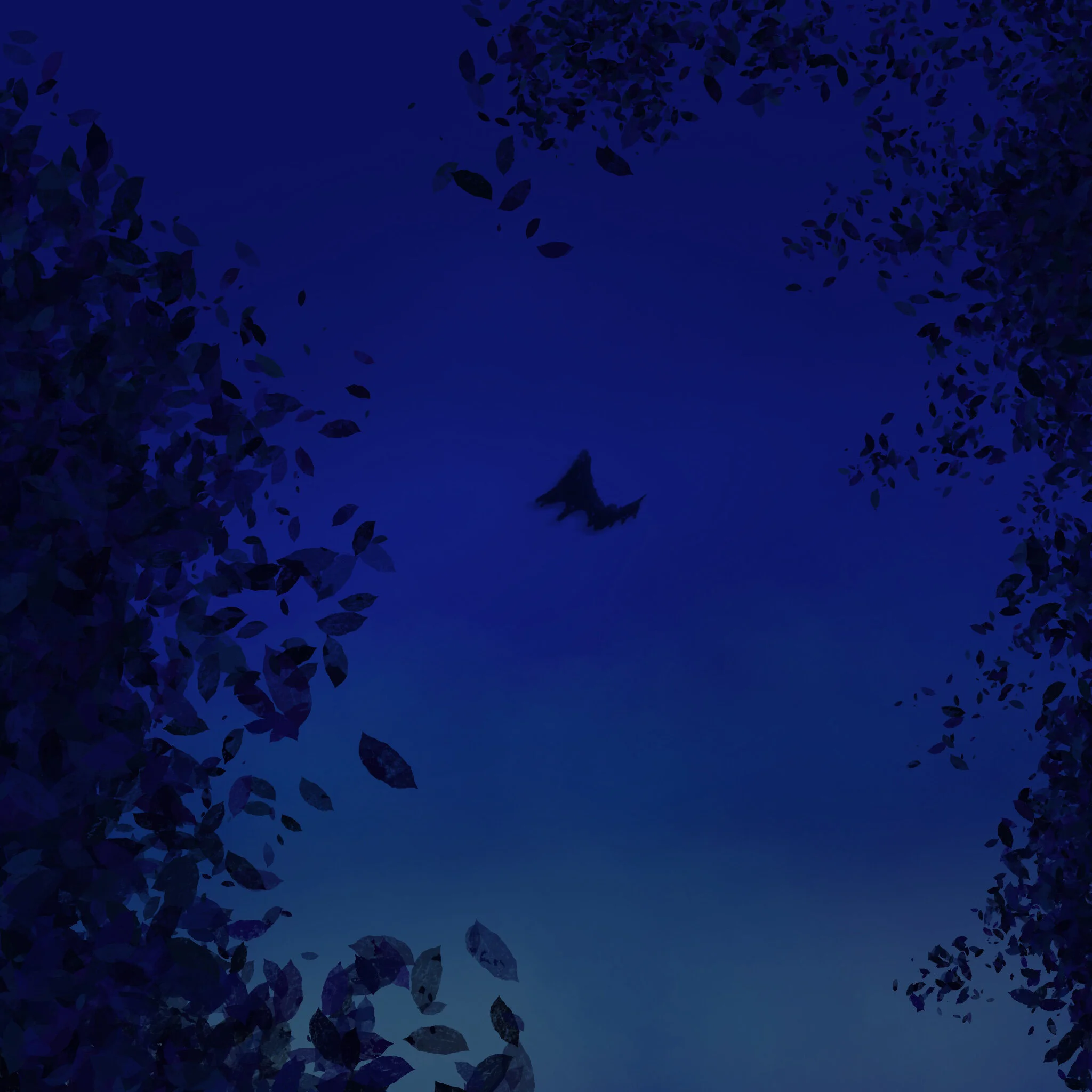 BatFlight.JPG