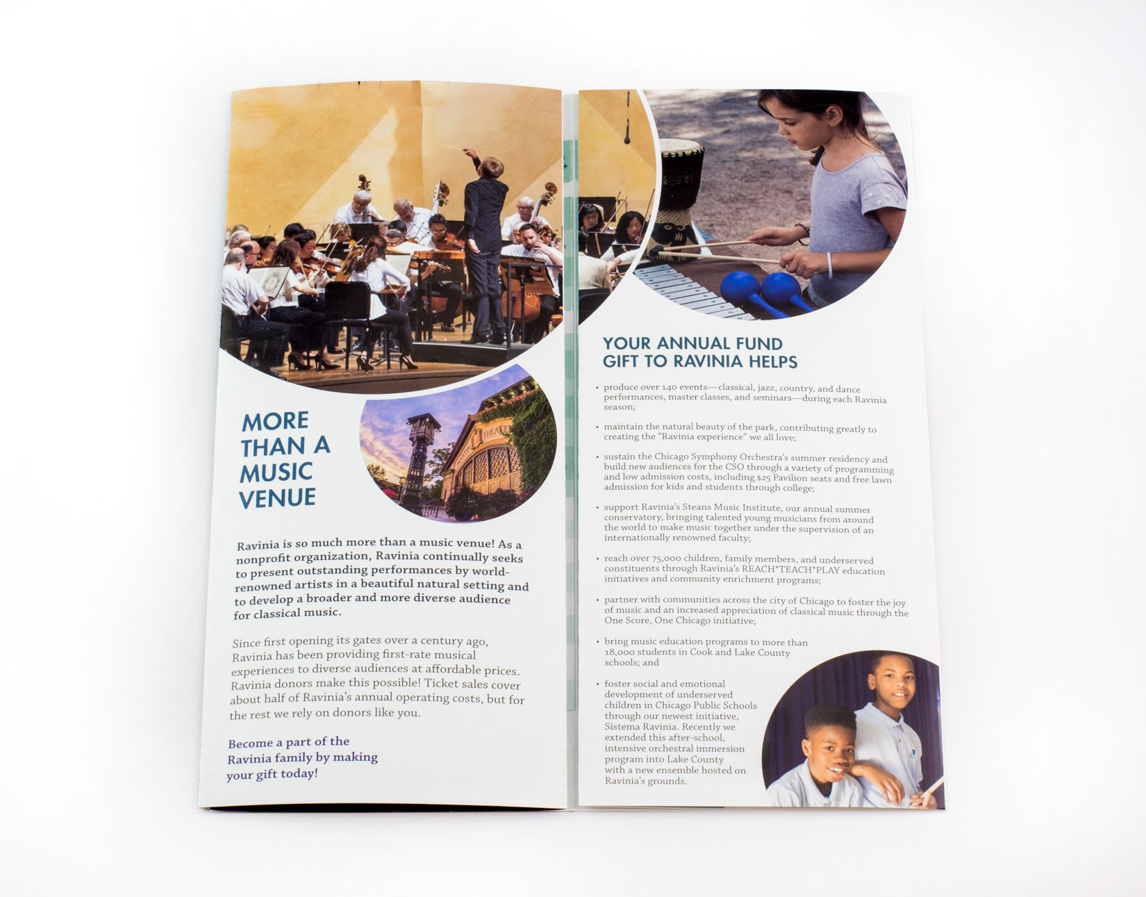 Ravinia_appeal-084.jpg