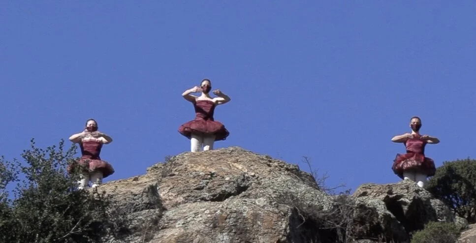 FACT/SF in the Nutshell!