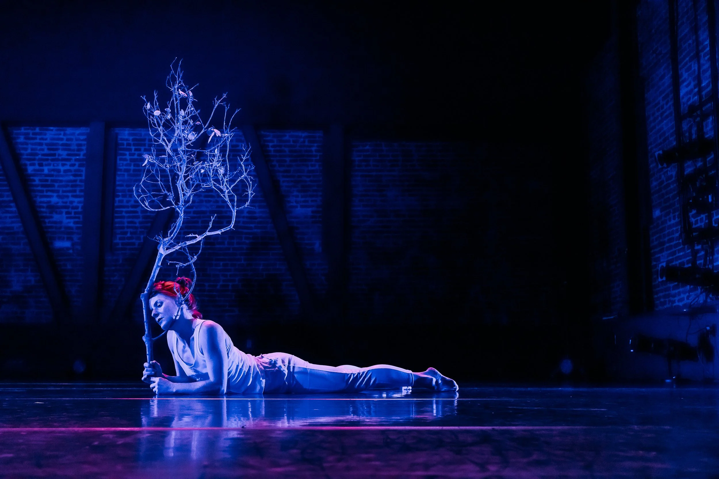  Shonsheree Giles in Megan Lowe Dances’  Just a Shadow,  April 2025 .  Photo by Vita Hewitt. 
