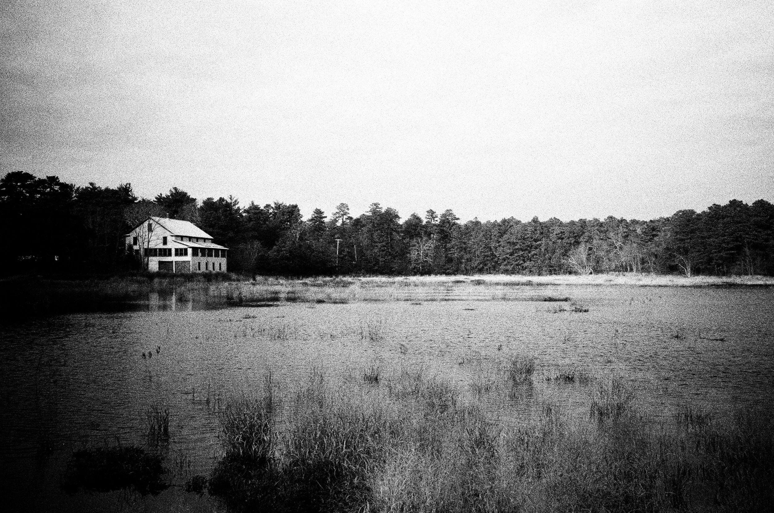 PineBarrens_WhiteHouse.jpg
