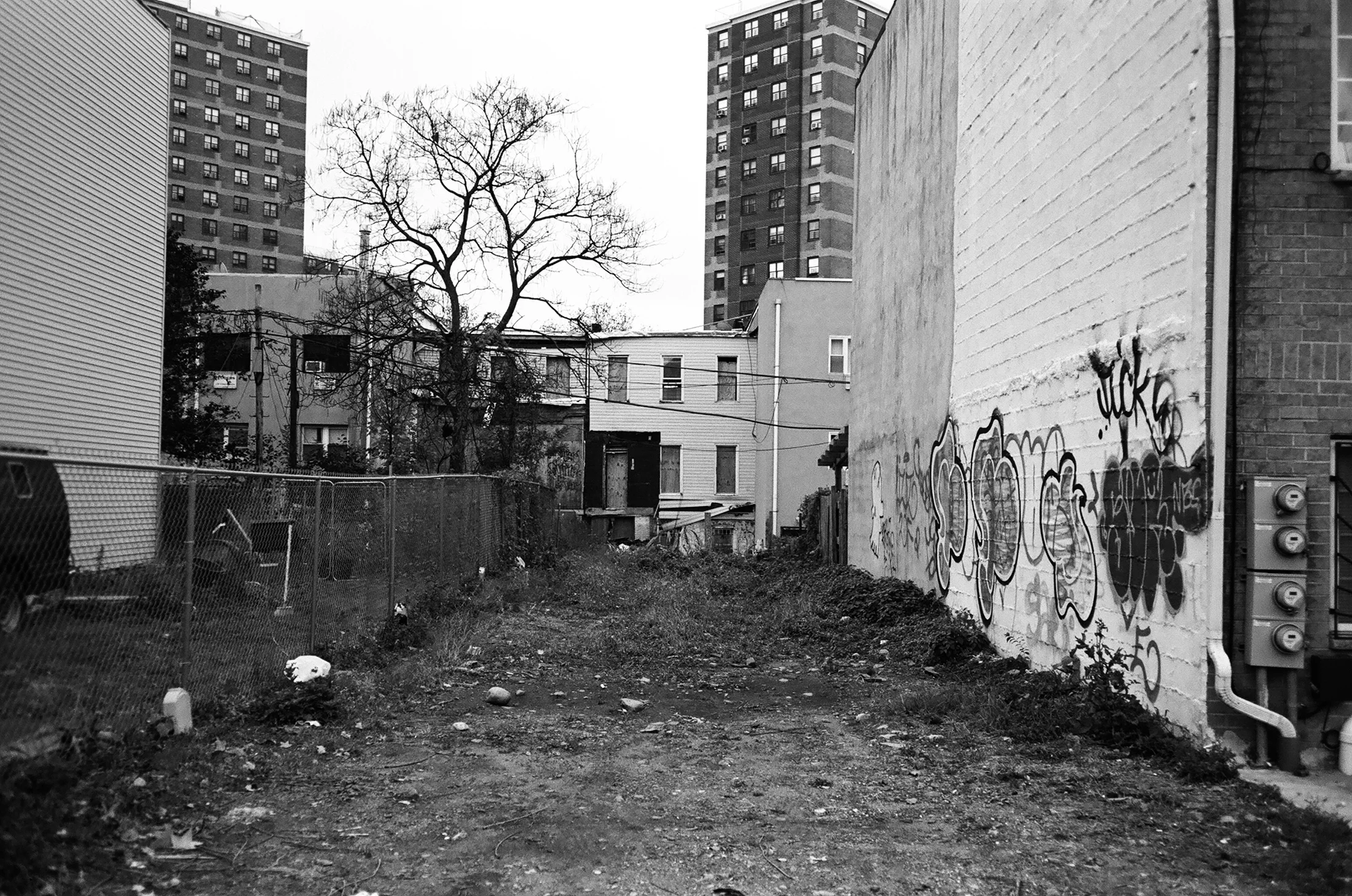 Fall_12122016_10_BW.jpg