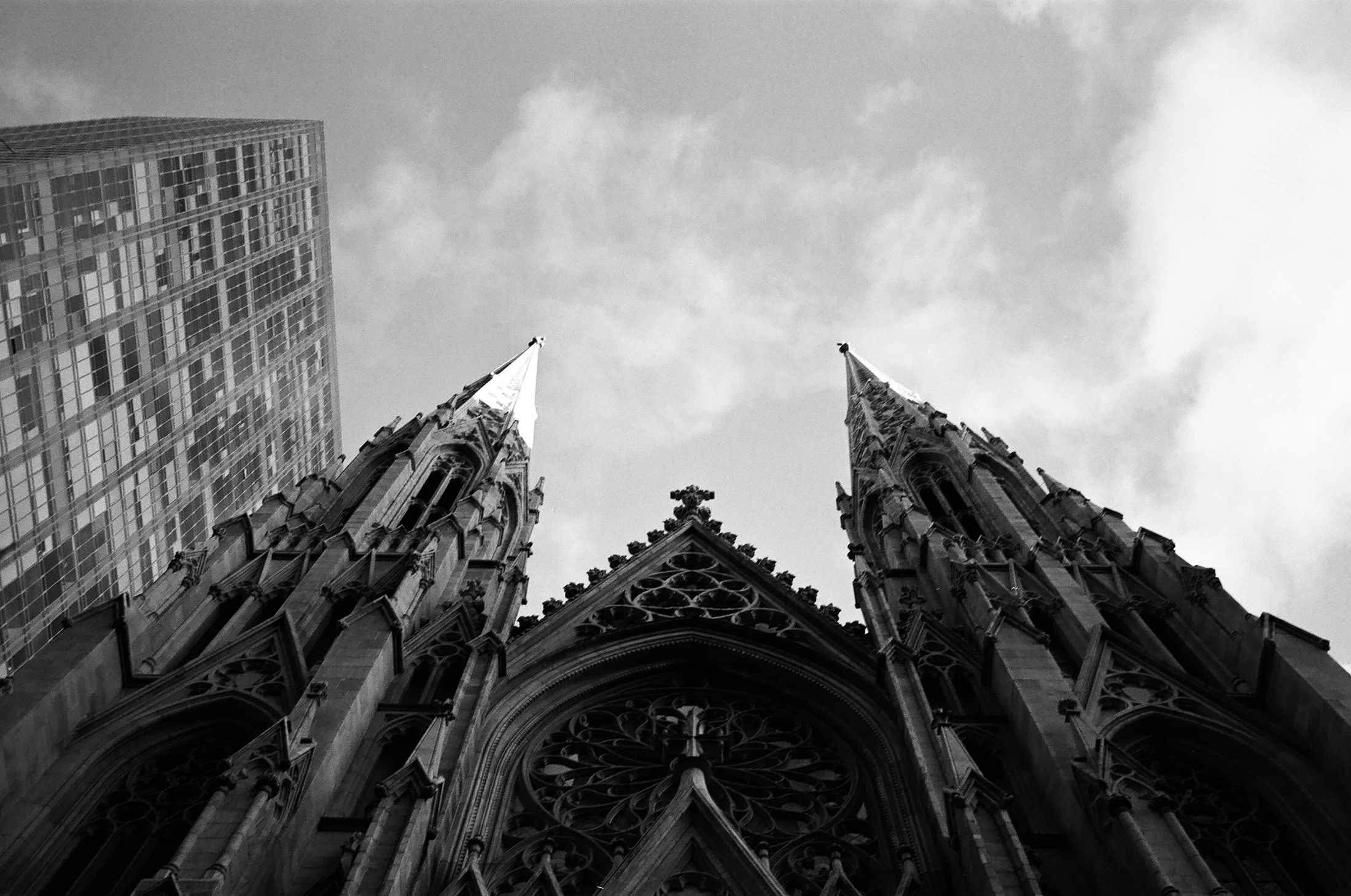 Fall_12122016_09_BW.jpg