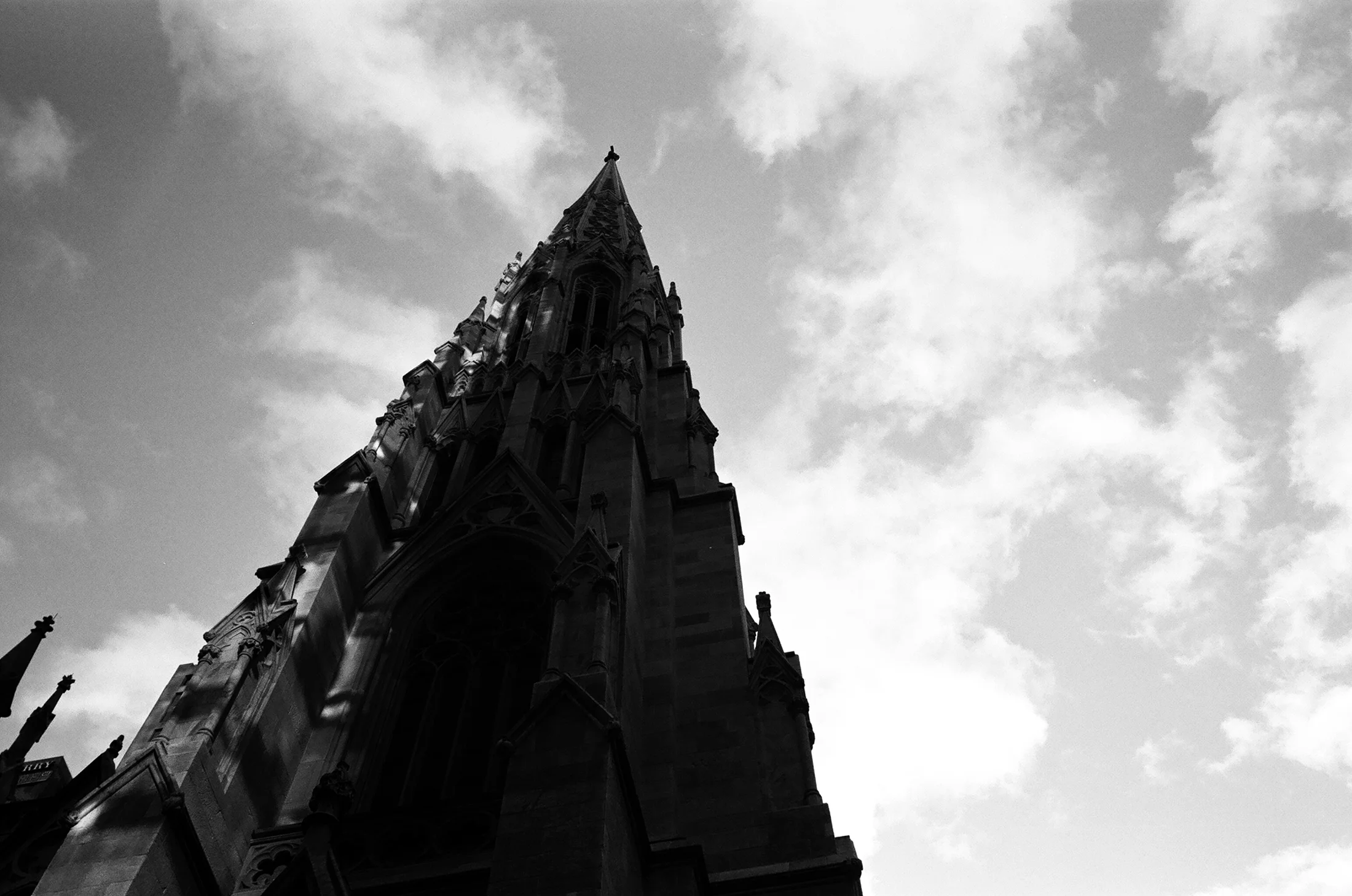 Fall_12122016_08_BW.jpg