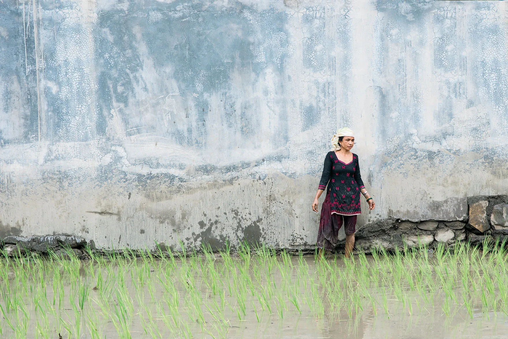 womanDaydreamsOfrice.jpg