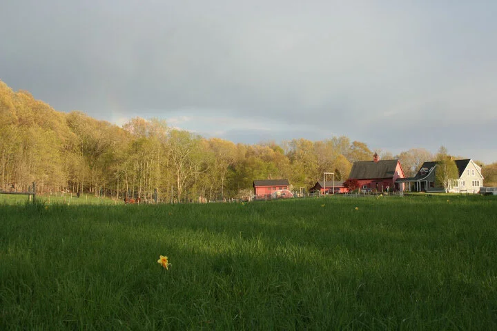 A Family Afternoon at Cranberry Meadow Farm