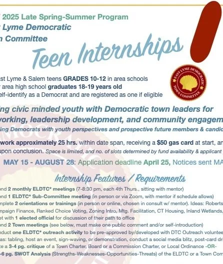 DTC Intern Program 2025 Final Flyer copy.jpeg