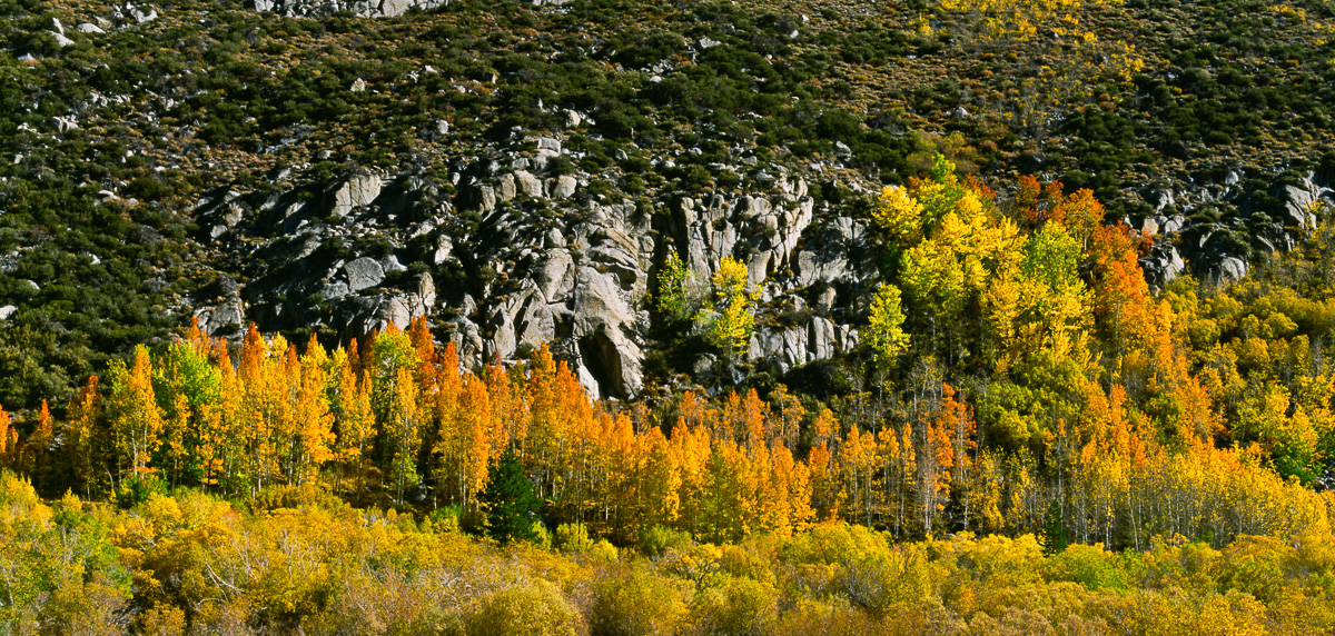 Bishop Creek