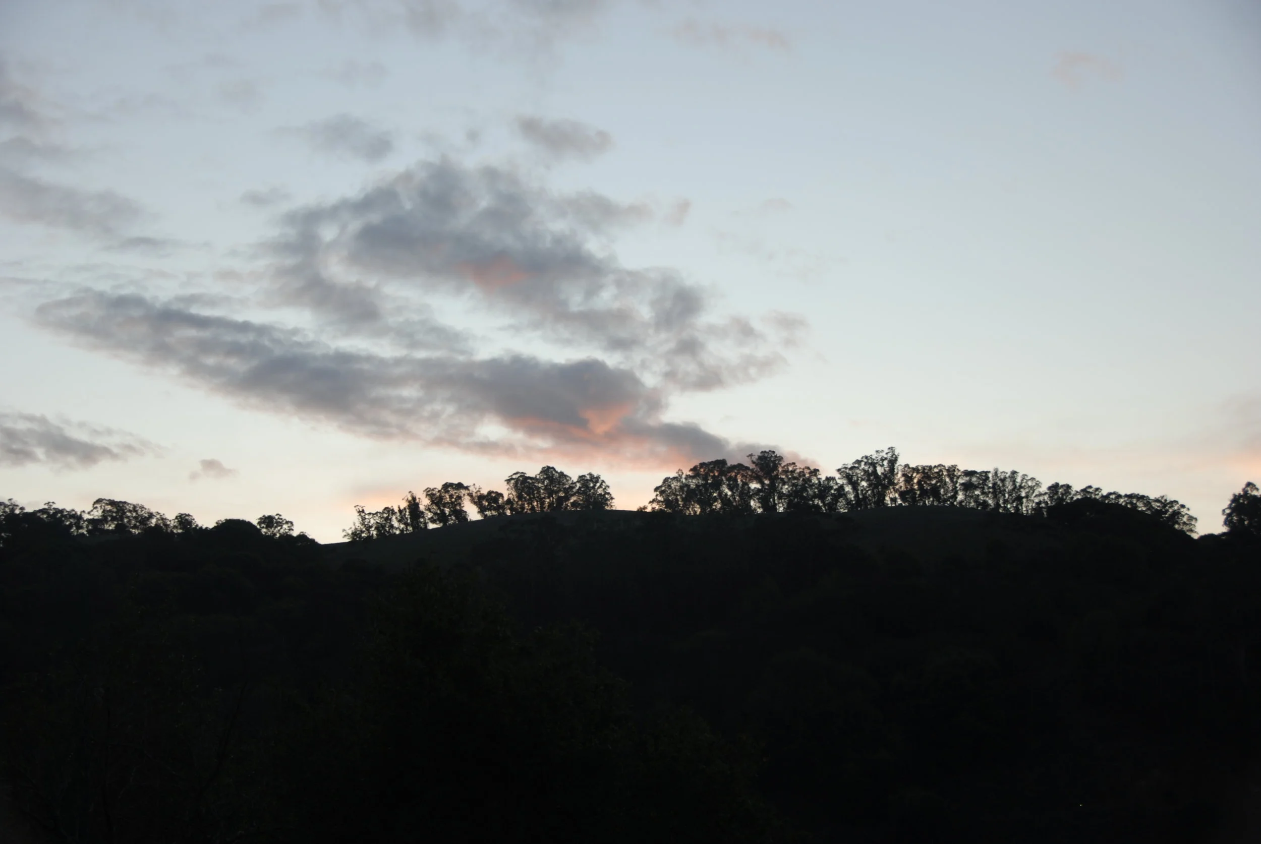 DSC_0044.JPG