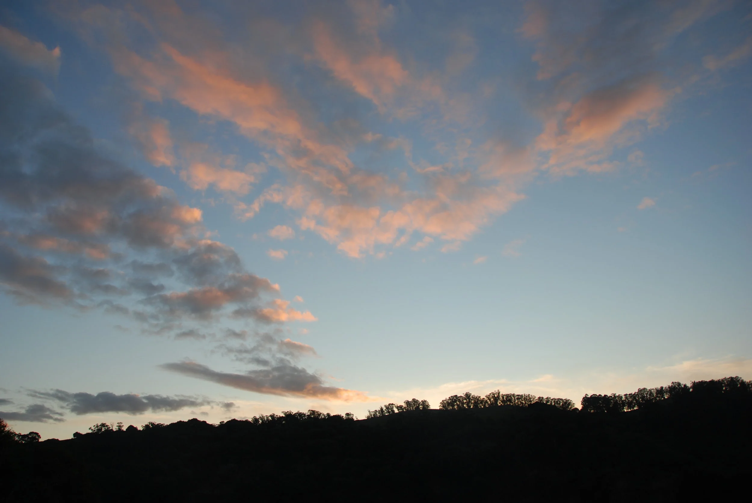 DSC_0041.JPG