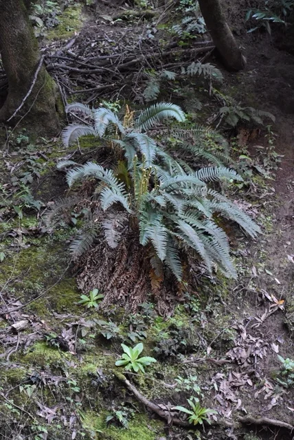 image2 (4).jpeg
