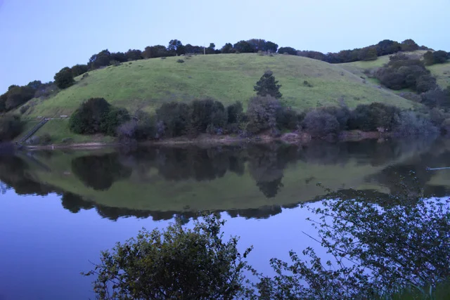 DSC_6517_00001.jpeg