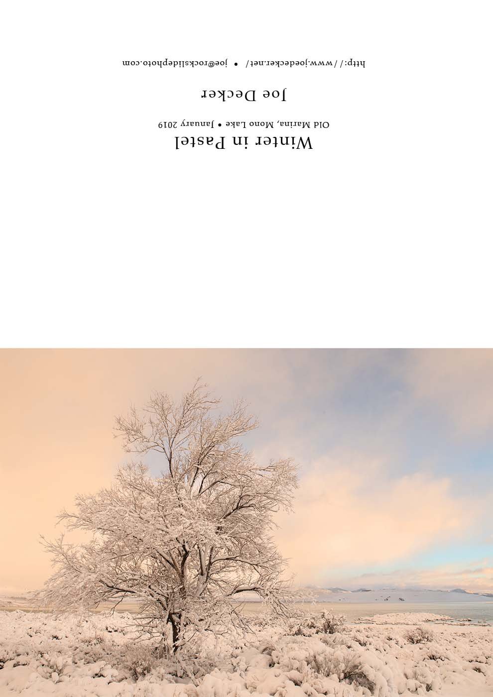 Winter in Pastel, Mono Lake (holiday cards) — Joe Decker