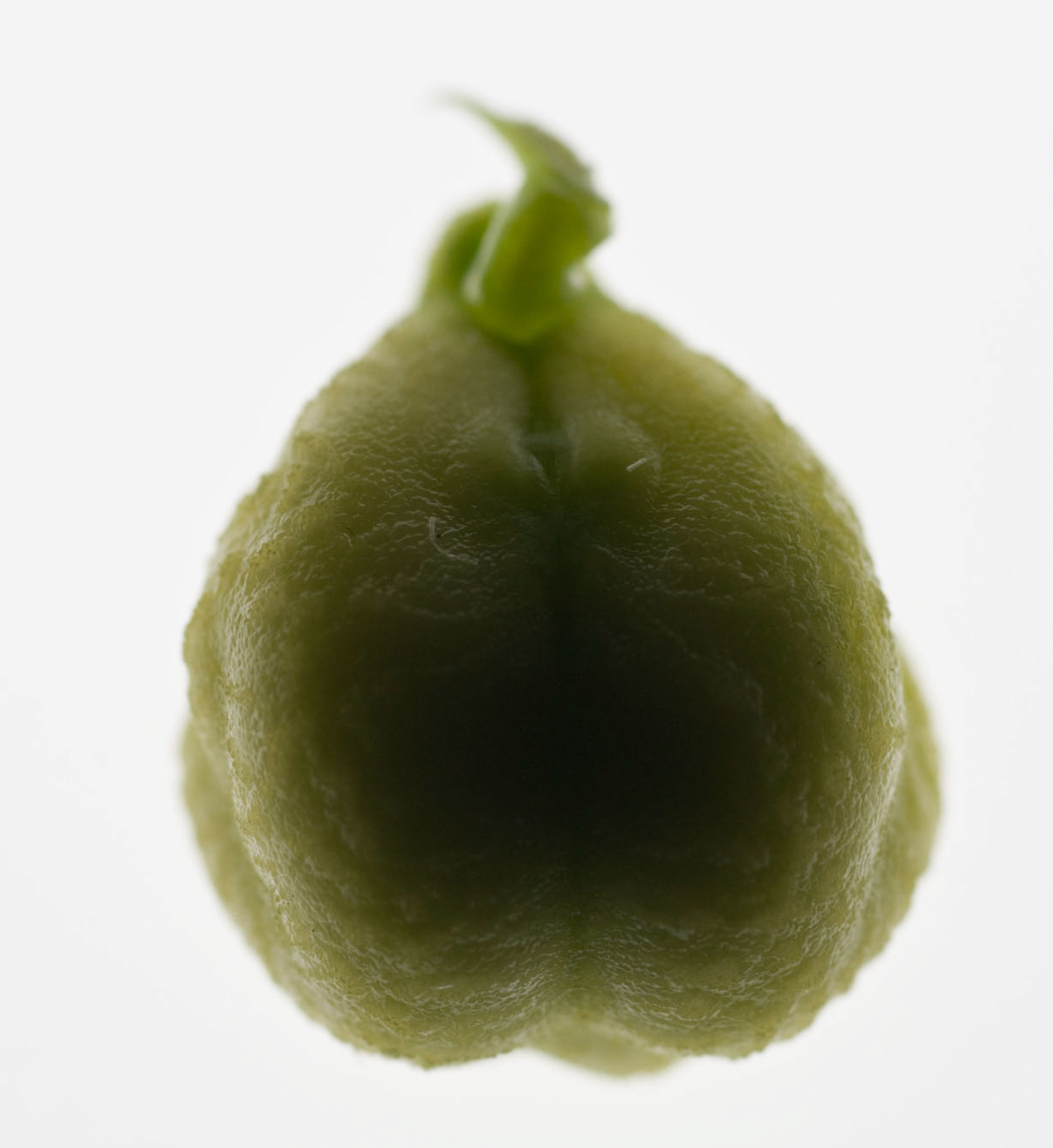 food_04.jpg
