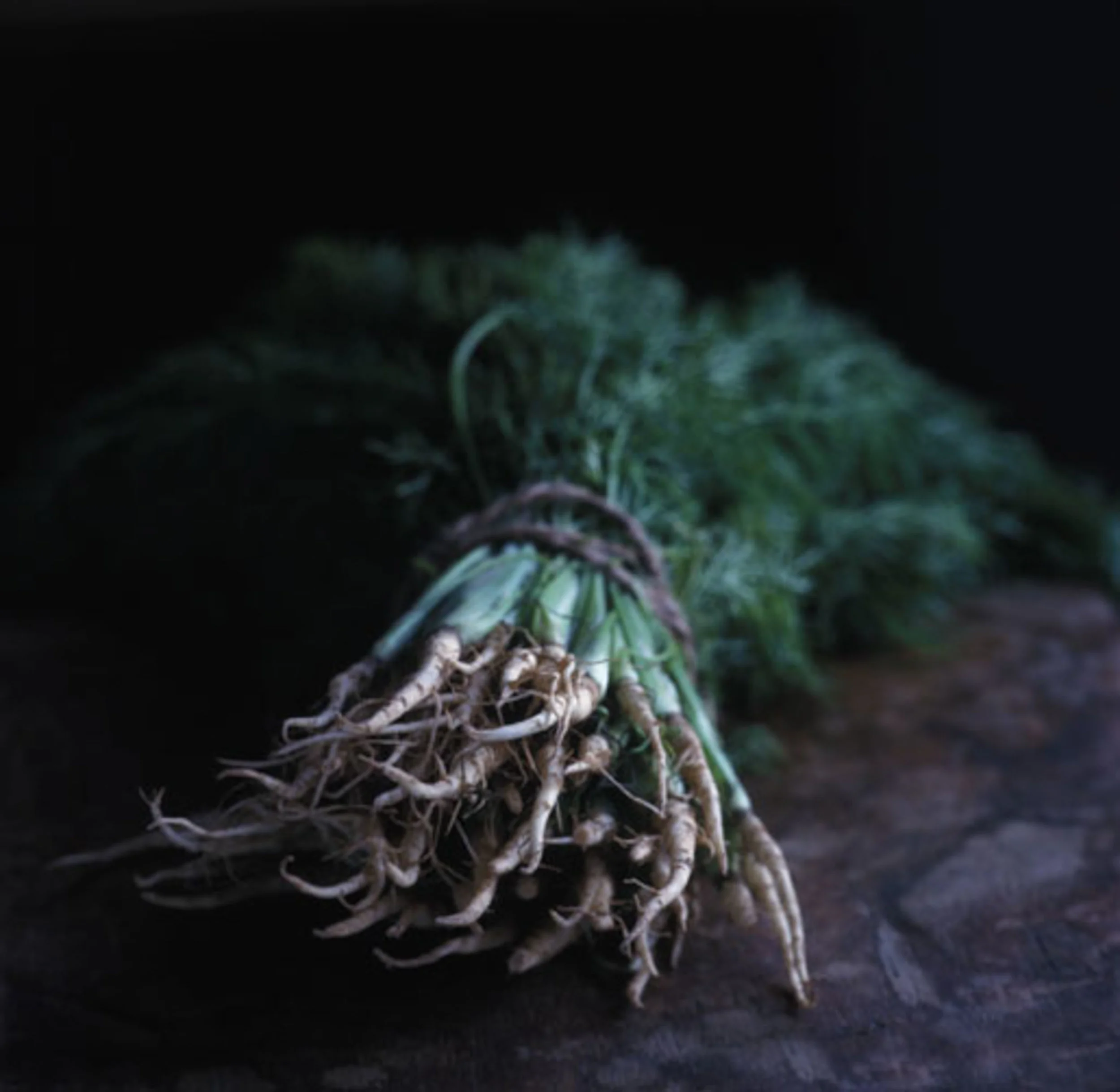 food_11.jpg