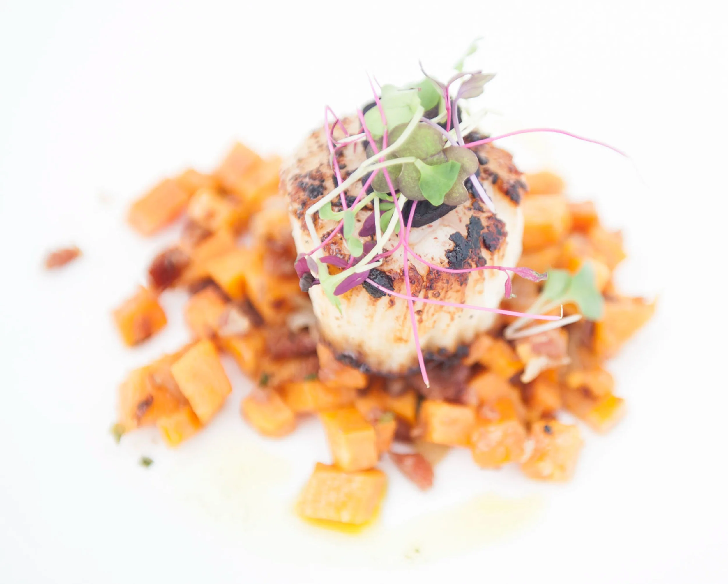 food_14.jpg