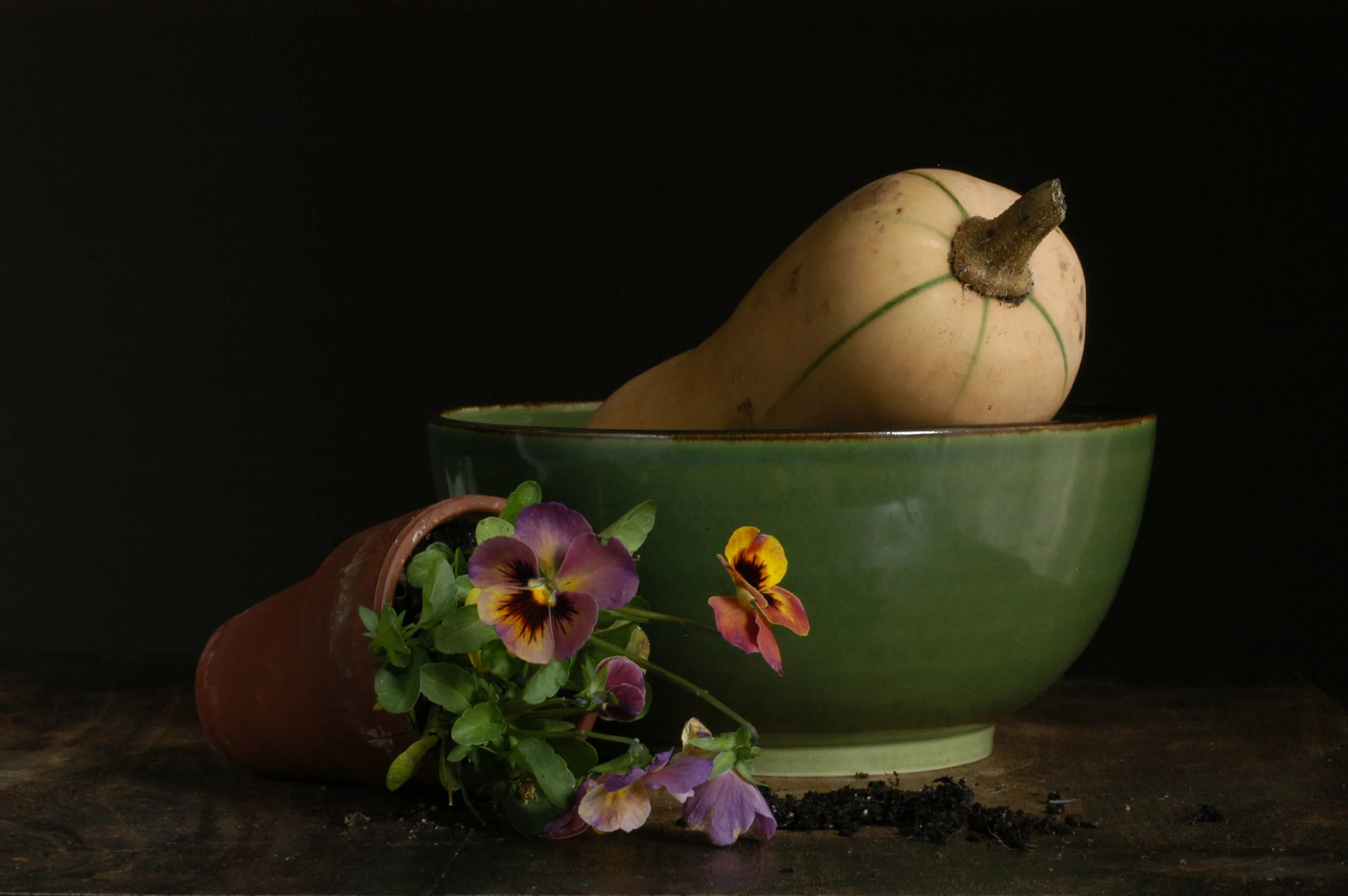 food_17.jpg