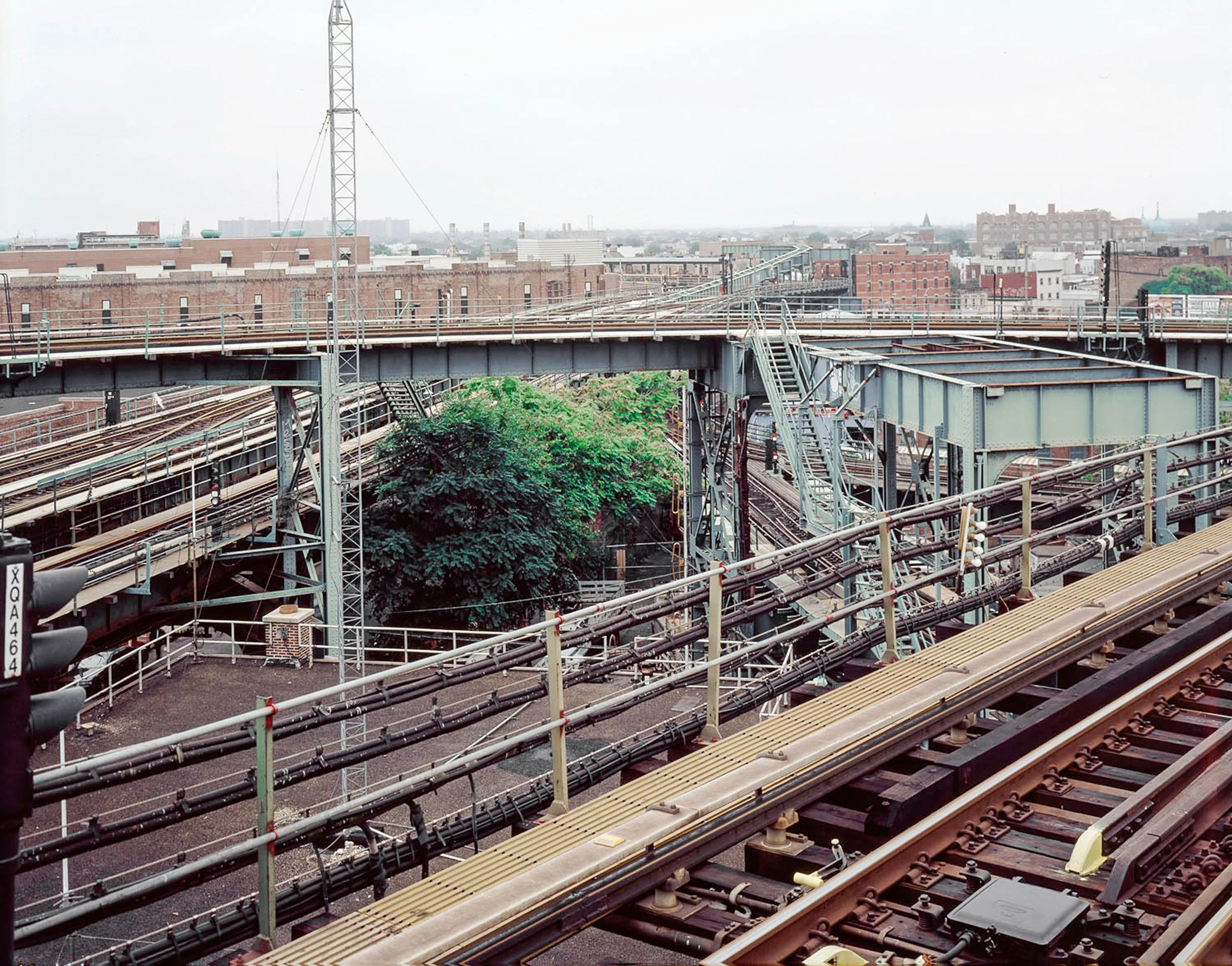 Eugene_Gologursky_11.jpg