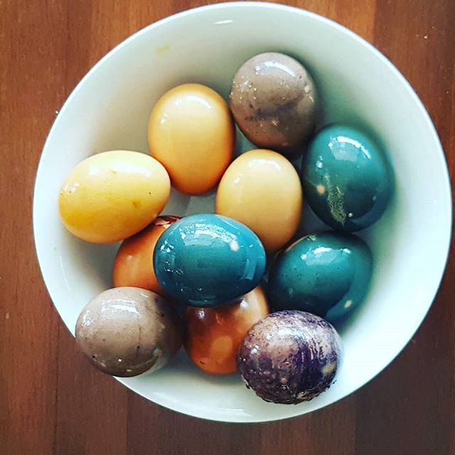 Part 1 of natural Easter egg dyeing experiment! Going to try with kale and cayenne pepper next. The most impressive color is the blue from the red cabbage! But I think the colors are brighter if you use white eggs, not brown!
