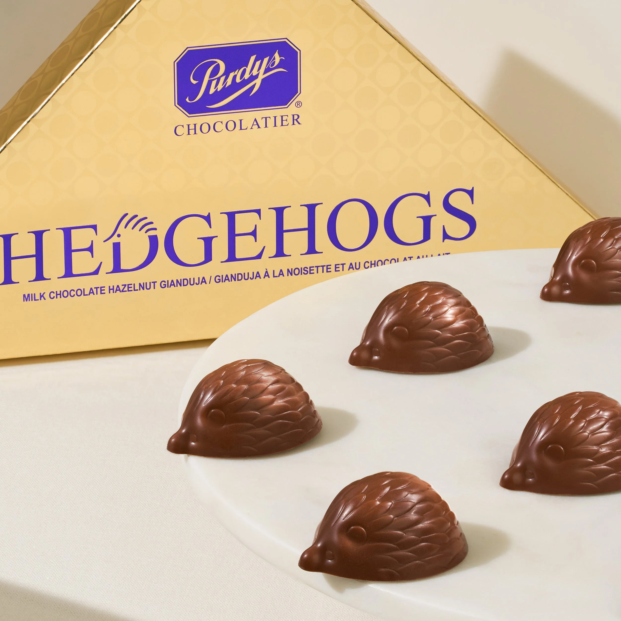 Year Round Hedgehogs Hero 1x1 02.jpg