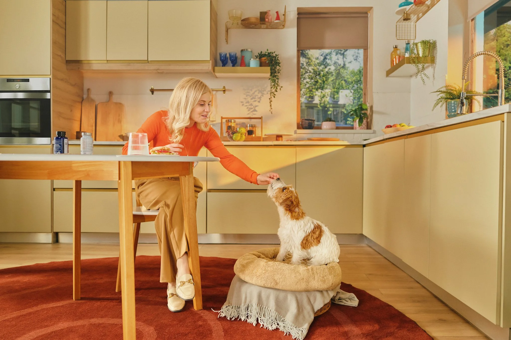 69e6af2d540f983ef9215b81_ZestyPaws_day_one_Multivitamine_Lifestyle_8592.jpg