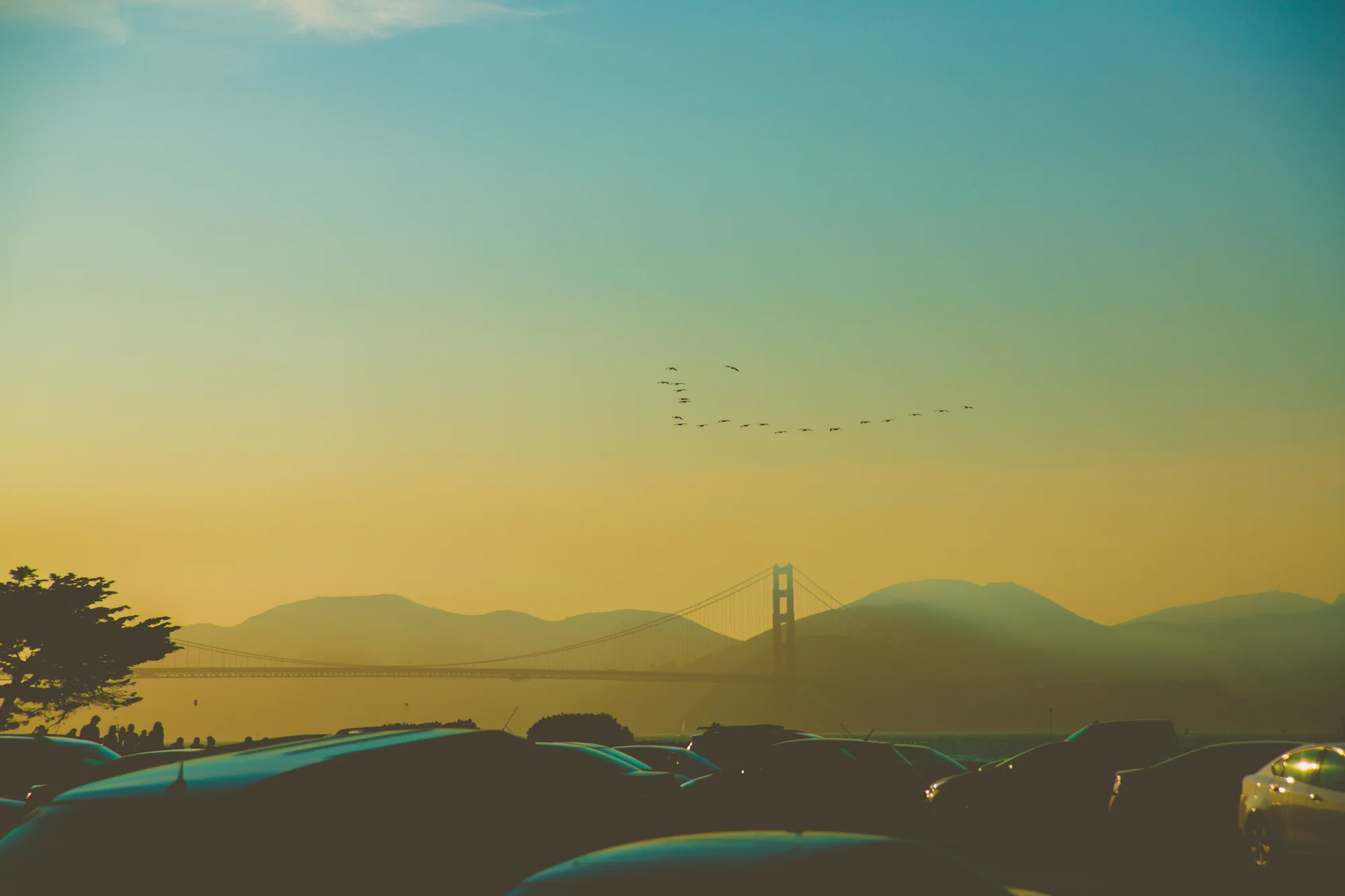 _F4A4658-1-2.jpg