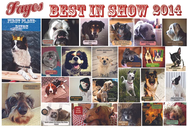 best in show 2014.jpg