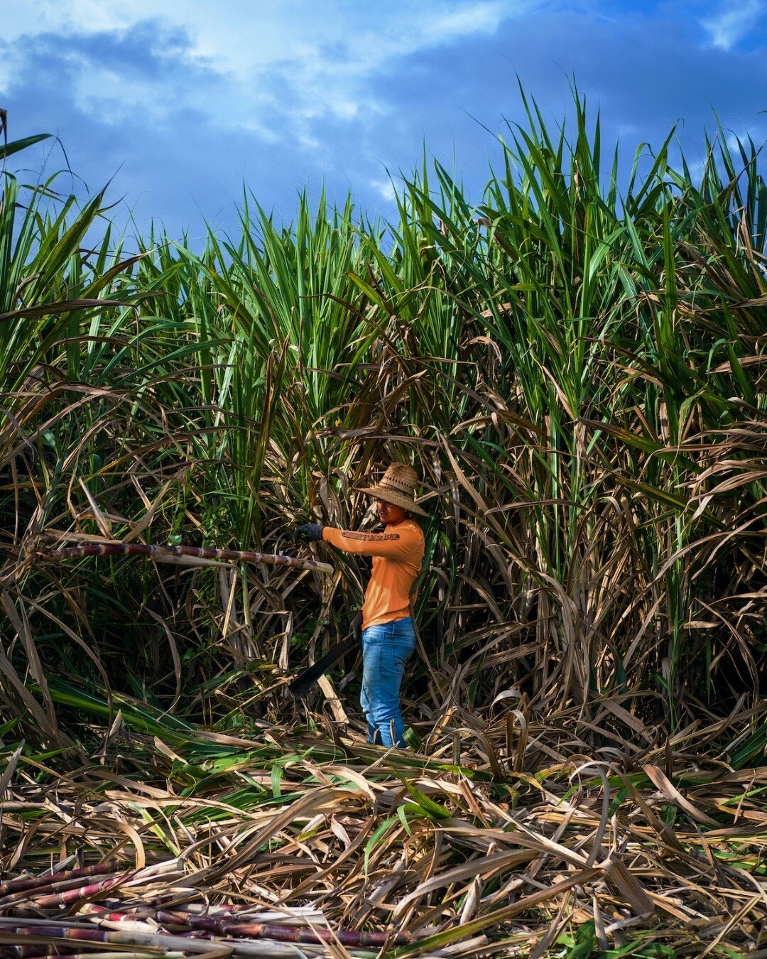 Mahalo and our deepest gratitude to all that make Kō Hana. Every hand is pivotal in sharing what we love. Hawaiian Agricole Rum made from heirloom sugarcane. Hand crafted from grass to glass.

Kō Hana Hawaiian Agricole Rum tastes like nothing else be