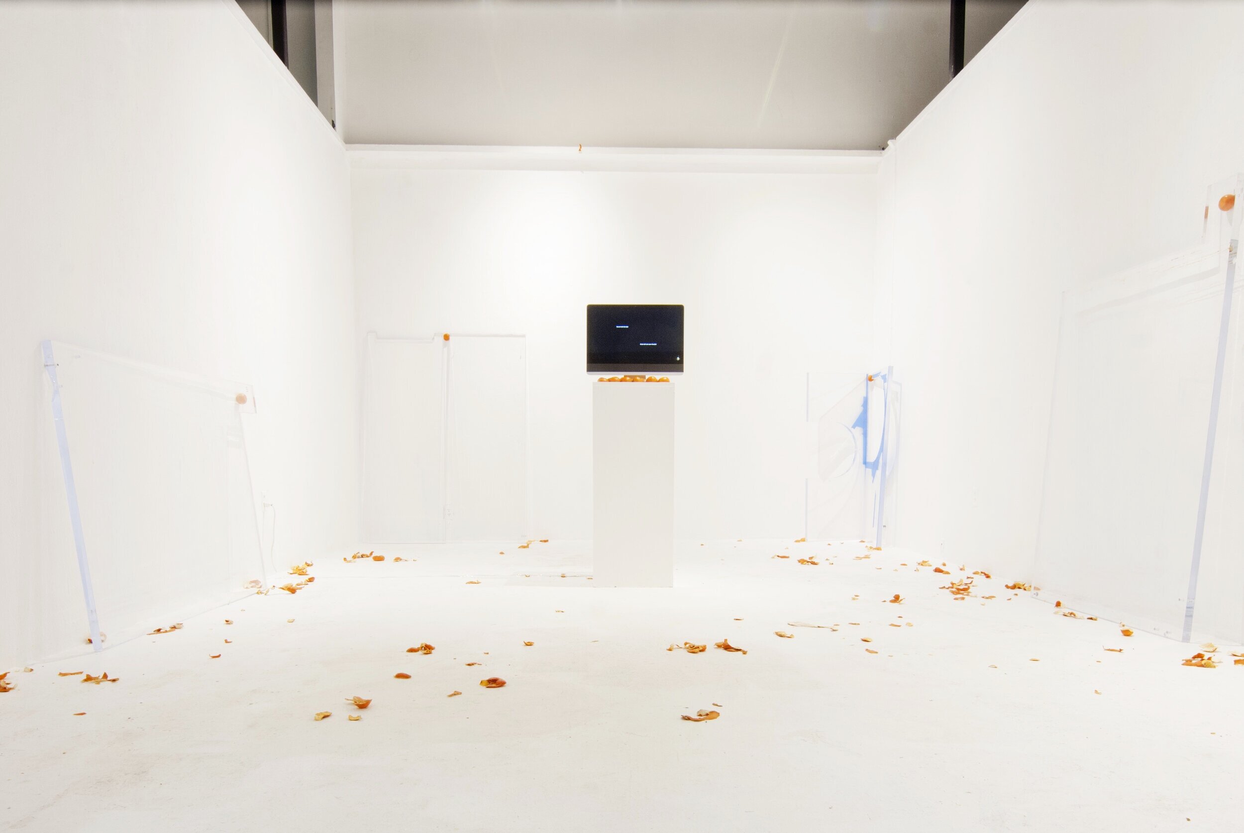 How to Peel an Orange (installation view, 2020)