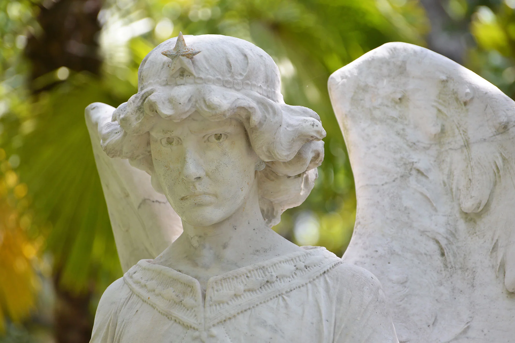 Historic Glenwood Cemetery walking tour (SOLD OUT)