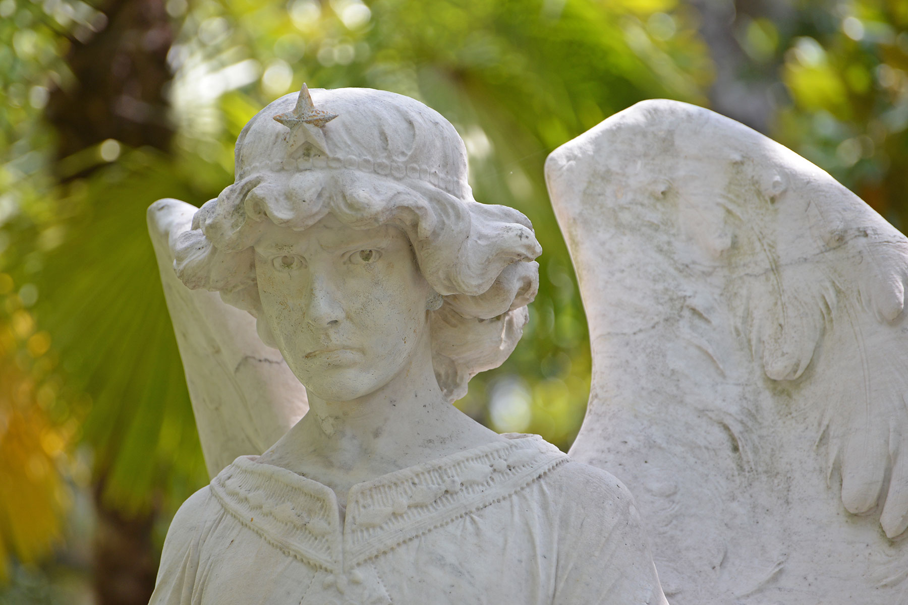  Historic Glenwood Cemetery walking tour (sold out)