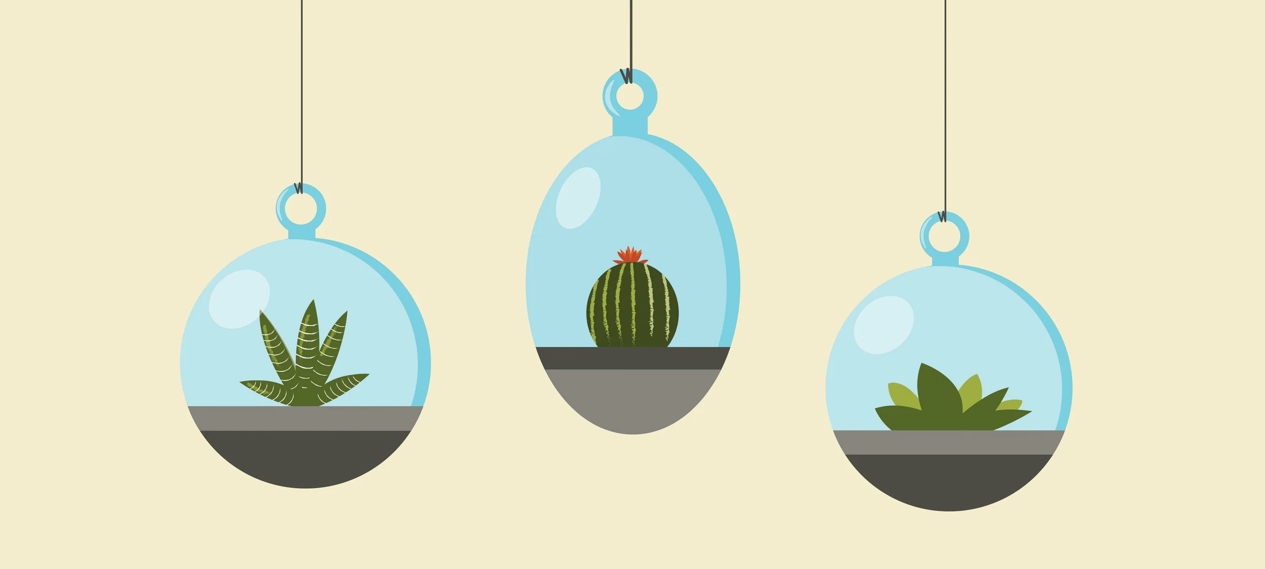 Hanging Plants