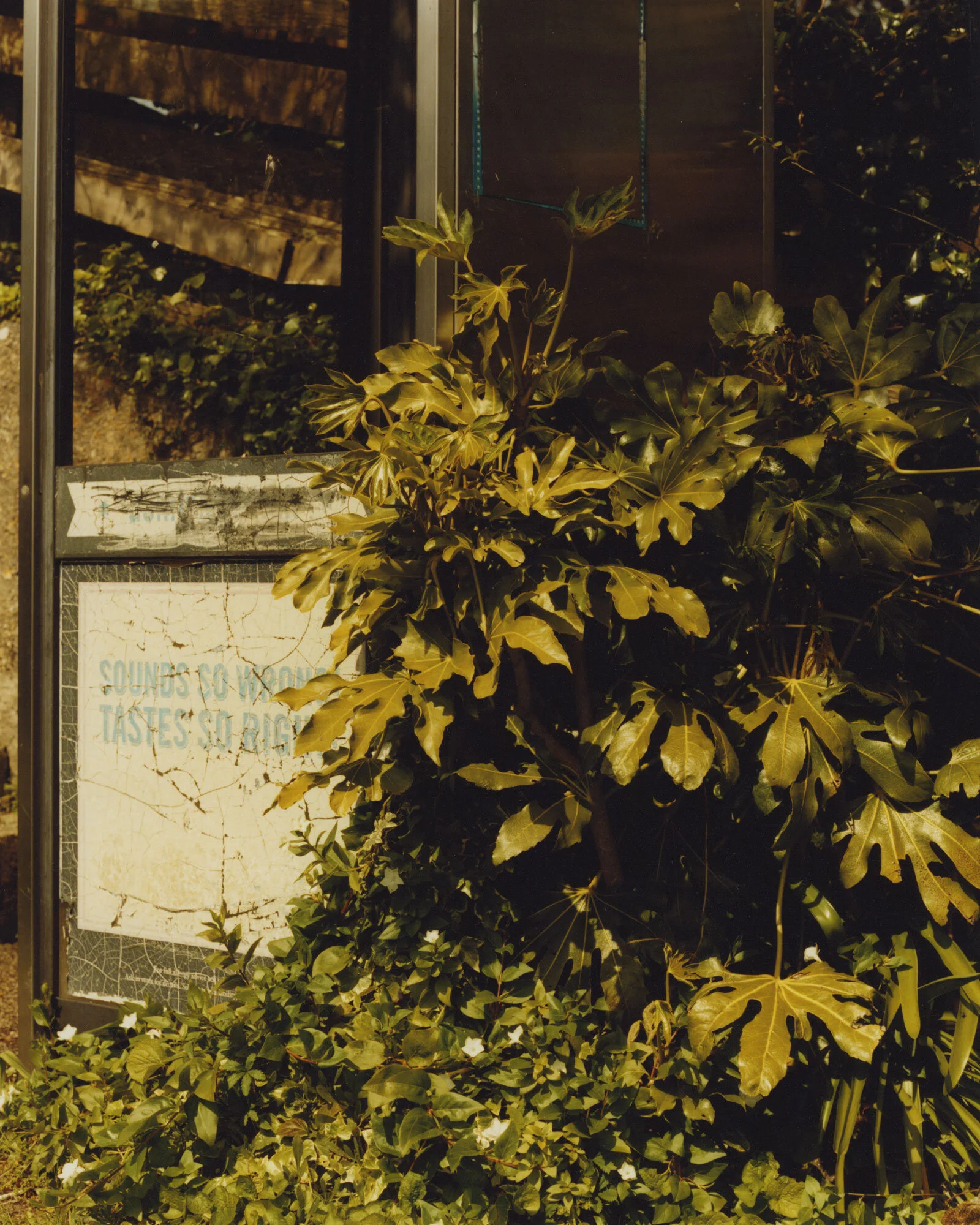 STIVES003.jpg