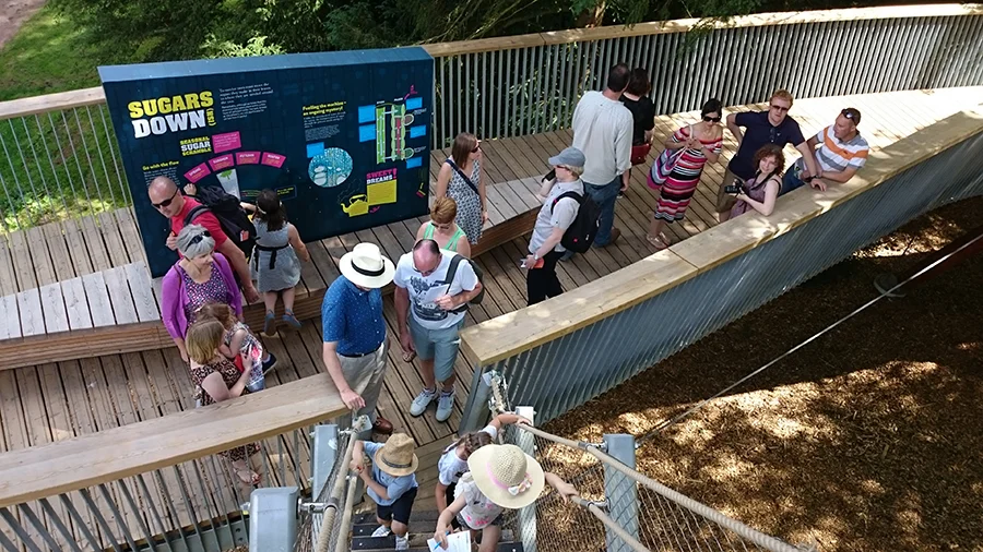 Finally, a sunny summer party!