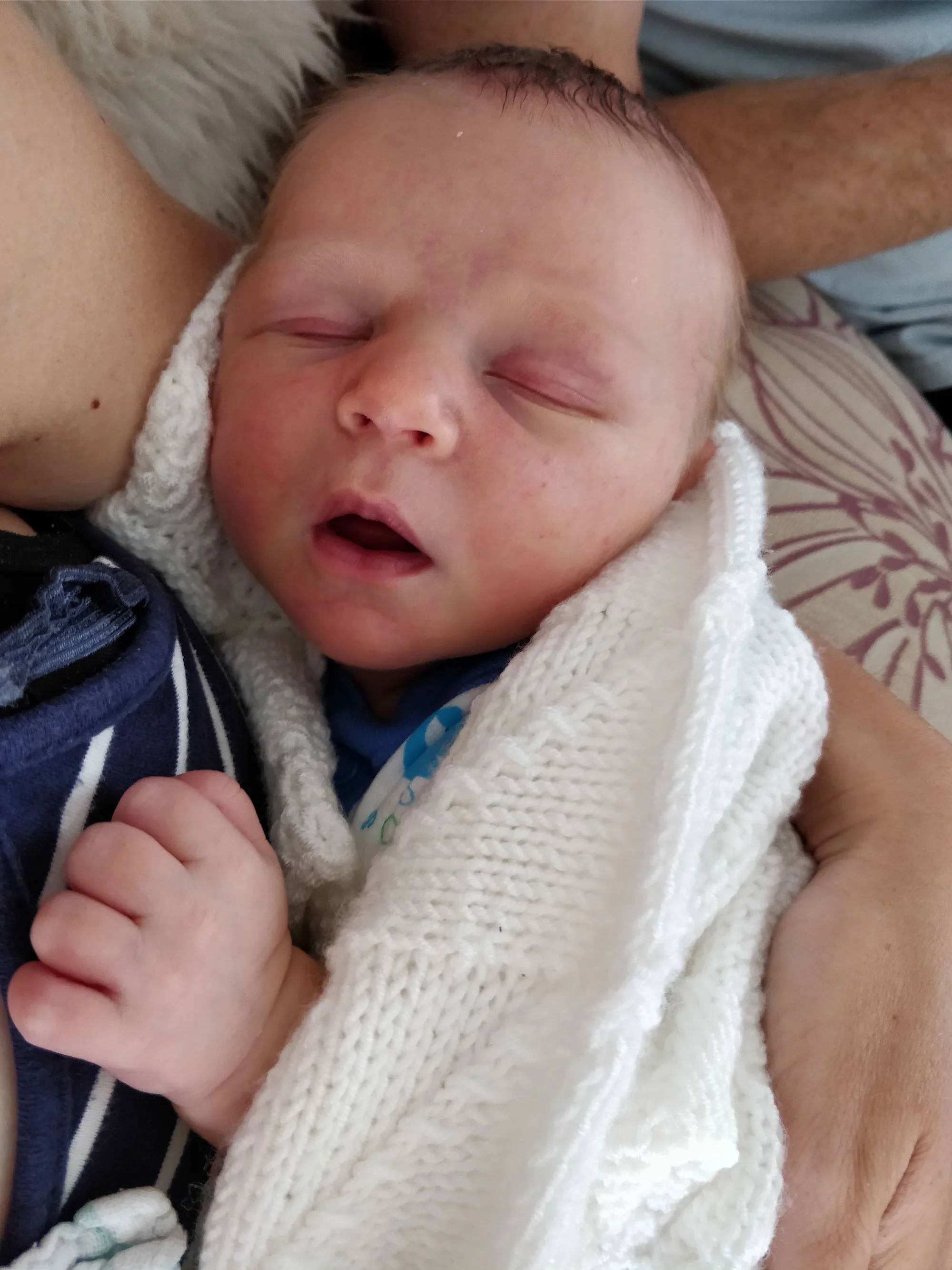 Theo-IMG_web.jpg