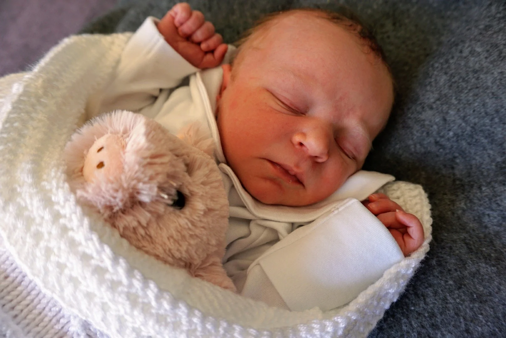 Theo DSC01839.JPG