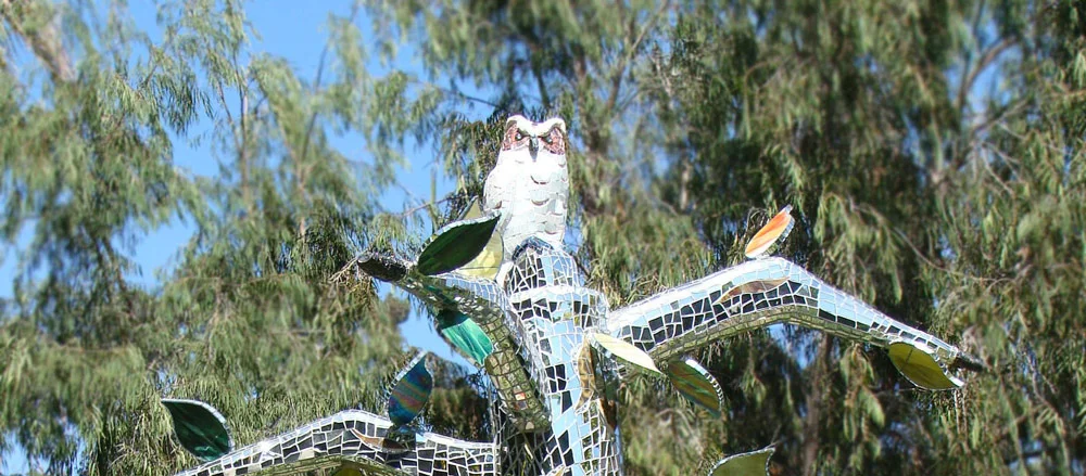 banner--TreeOfWisdom.jpg