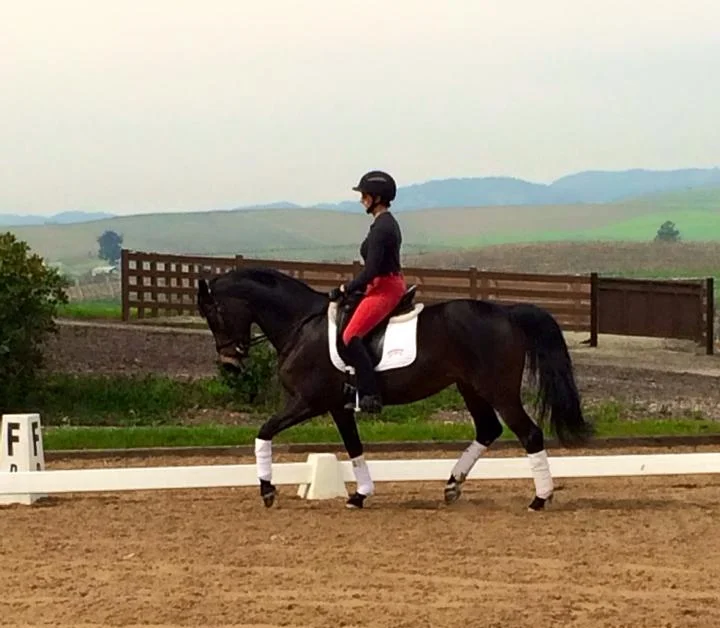 BALLARAT "Bali" --- SOLD