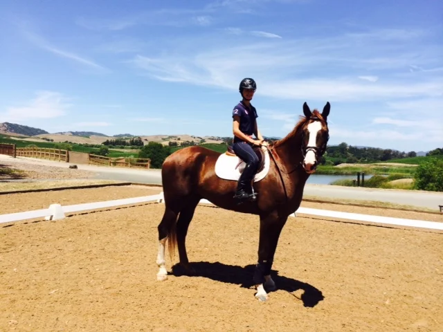 Congratulations to Ransome Rombauer on the purchase of Lyons Creek Hennessy, now know as Carneros NV!!!!