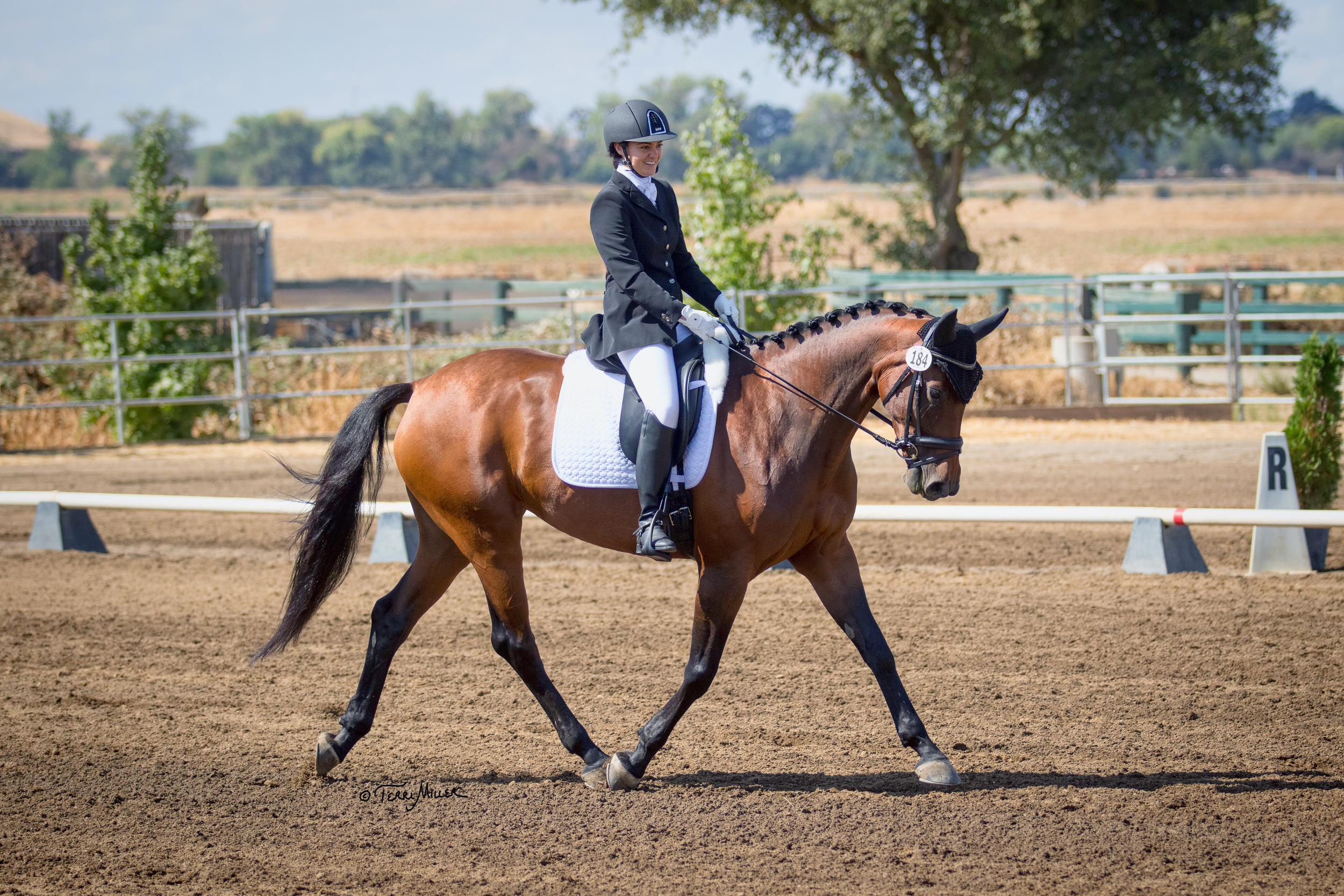 fiara trot show.JPG