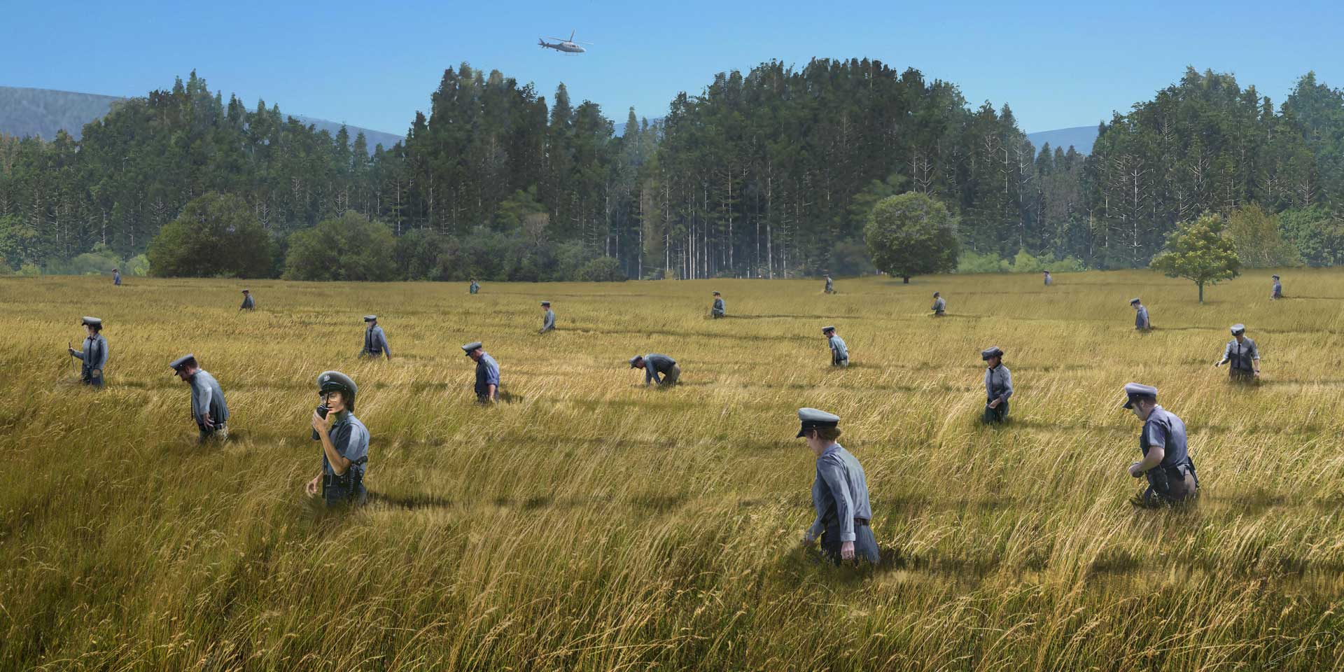 grasscops.jpg