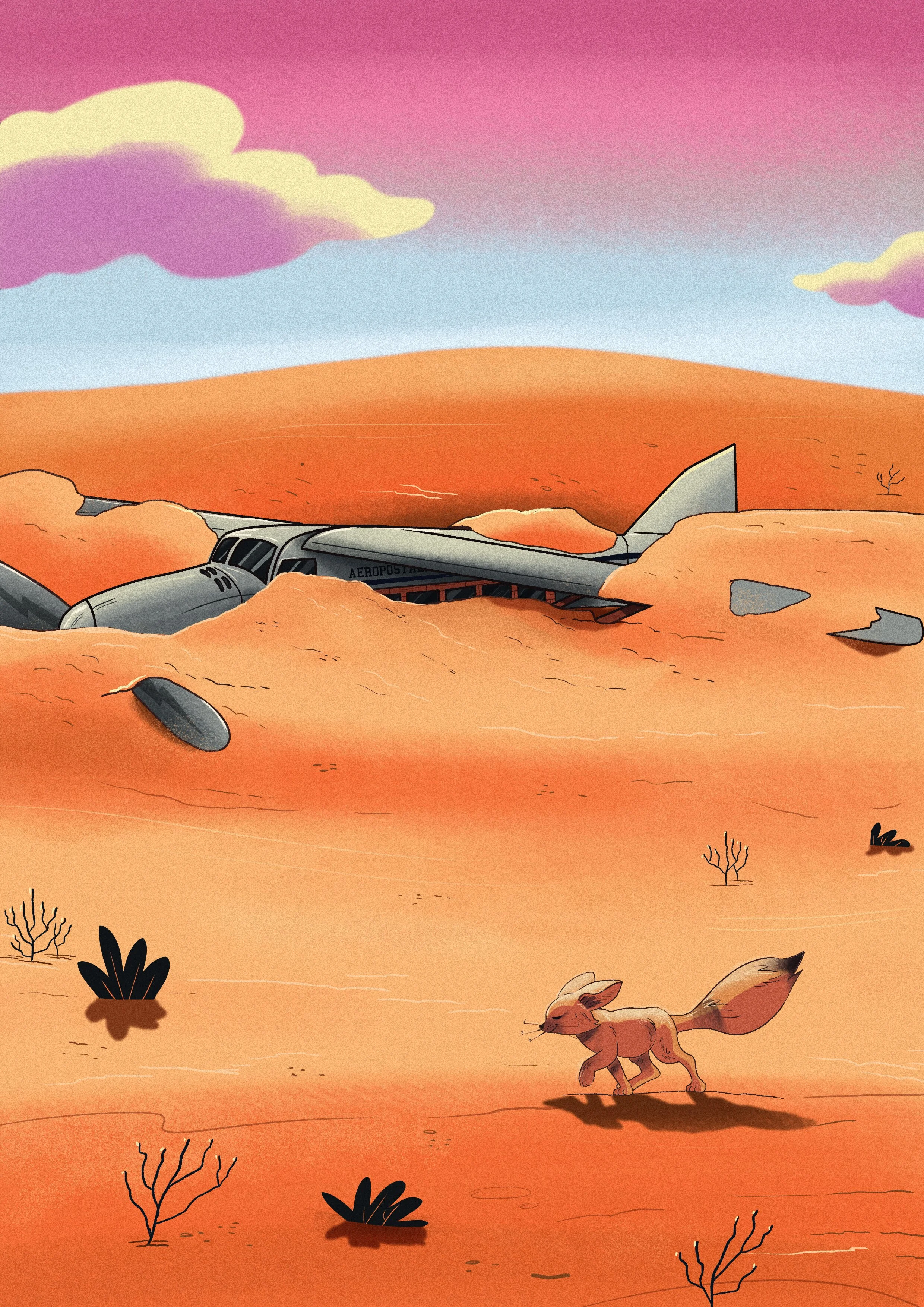 aviososoos copia.jpg