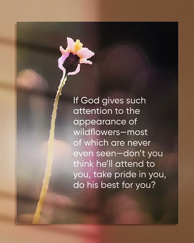 / D O  N O T  W O R R Y / What I&rsquo;m trying to do here is to get you to relax, to not be so preoccupied with getting, so you can respond to God&rsquo;s giving. People who don&rsquo;t know God and the way he works fuss over these things, but you k