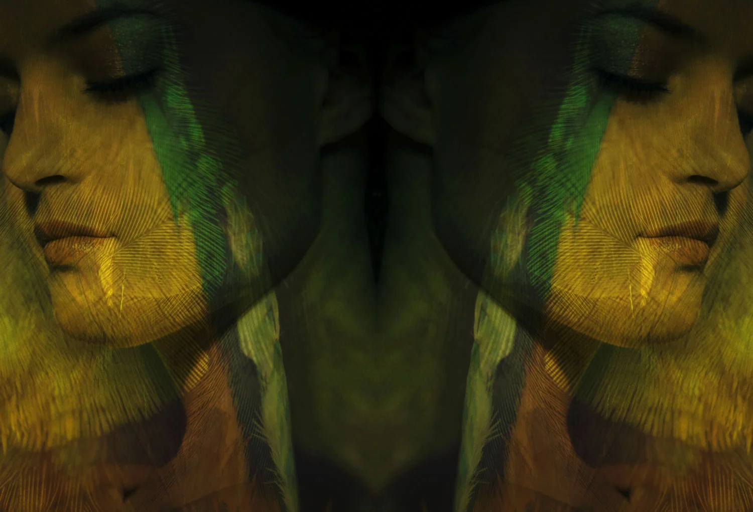 3.Night_Flight©SonyaPletes_2015_RGB_150DPI.jpg
