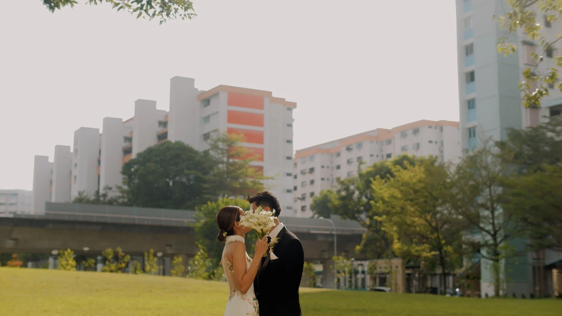 Highlights.00_07_41_22.Still002.jpg