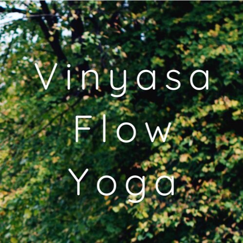 Vinyasa Flow Yoga