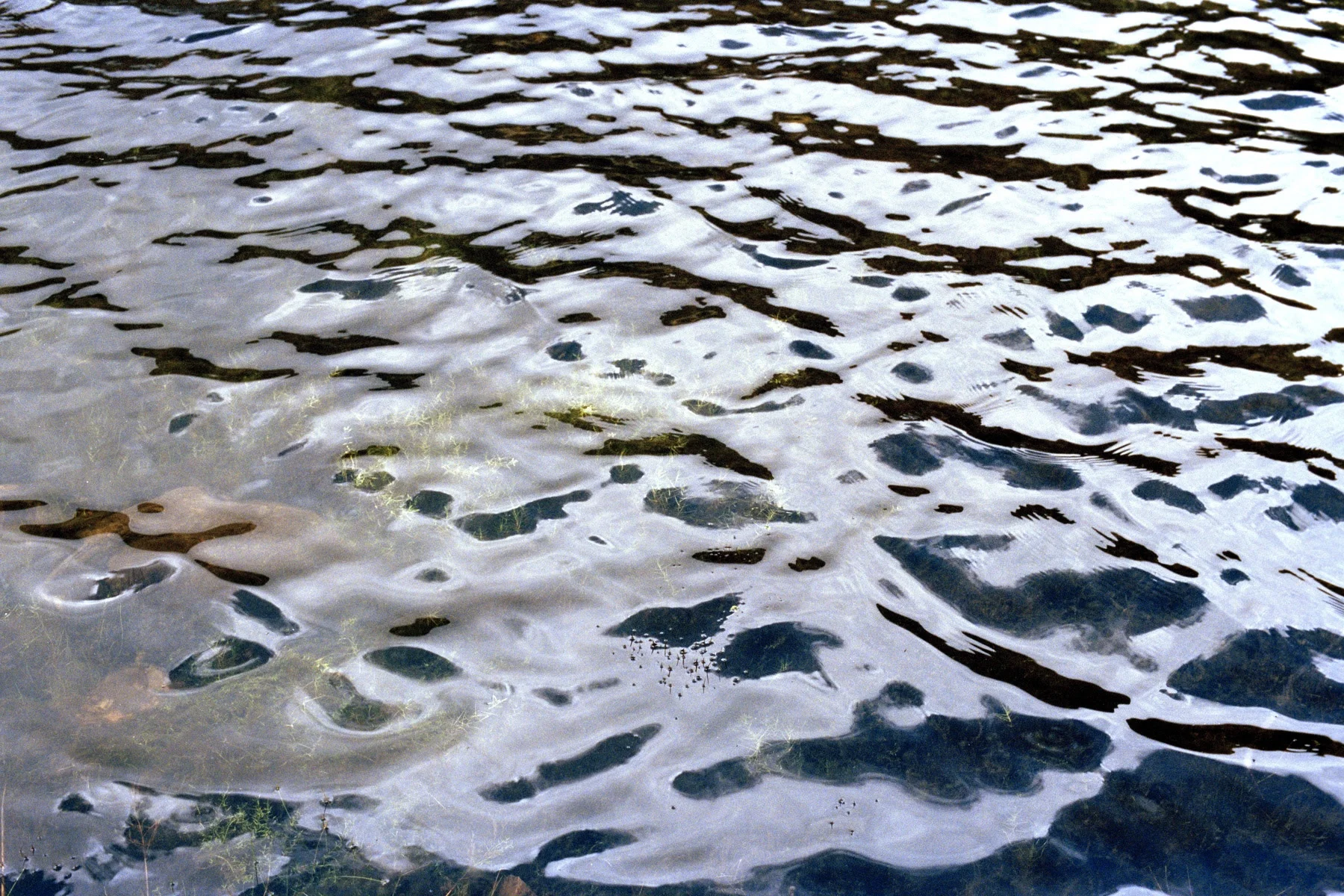 Laguna Sagrada , Verónica Puche 2015