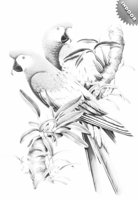 ST243_indoor_scarlet_macaws_design__56599.1420731005.463.673.jpg