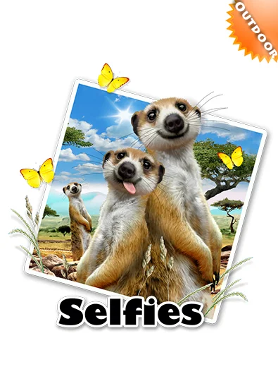 ST937_outdoor_meerkats_selfie_design__73952.1503518188.463.673.jpg